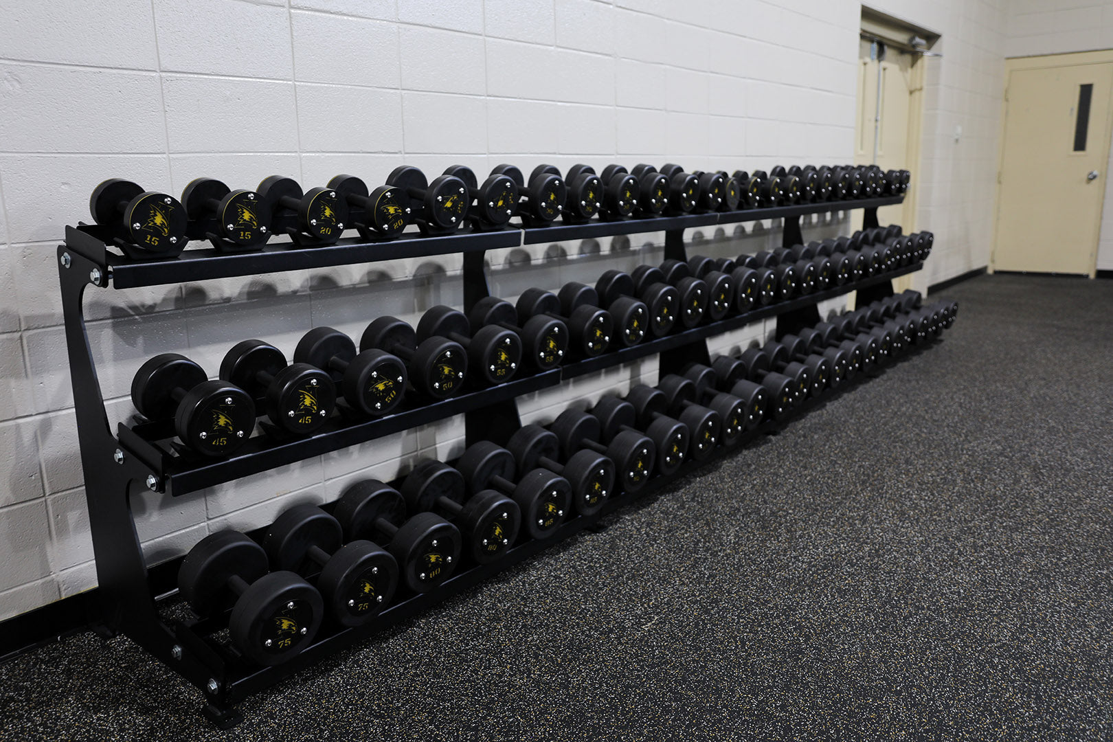 Precision Steel Dumbbells