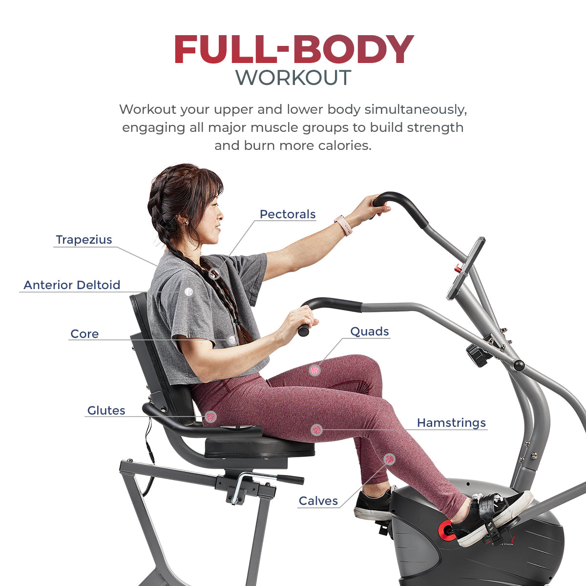 Performance Interactive Recumbent Bike with Moveable Handles and Digital Display