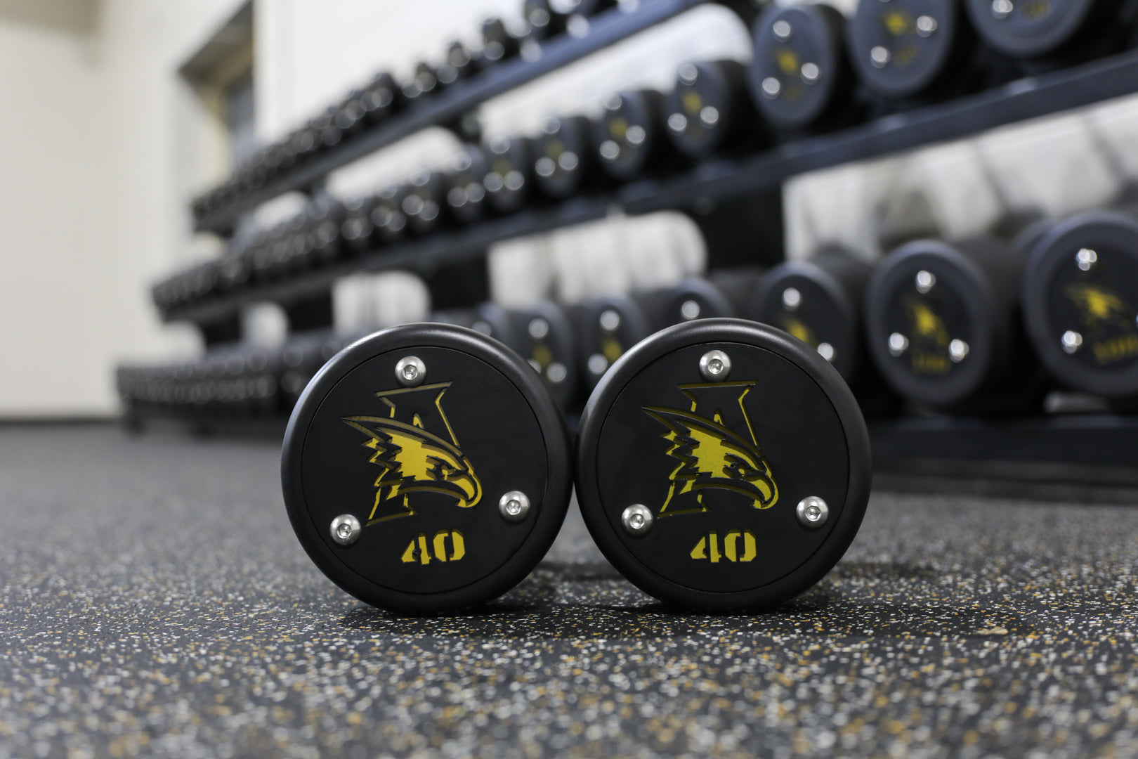 Precision Steel Dumbbells